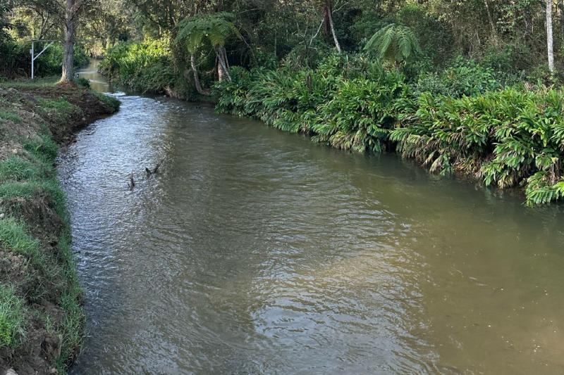 La Ceja enfrenta disminución de caudales debido al Fenómeno de El Niño