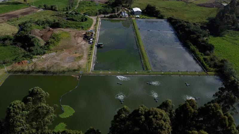 Empresas Públicas de La Ceja adelanta remoción de lodos en la PTAR para devolverle el agua más limpia a La Pereira